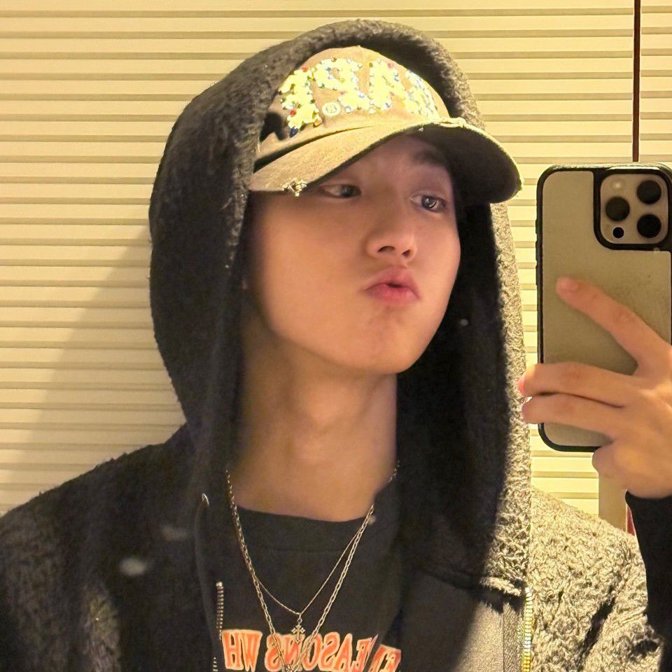 HAN (Stray Kids)粉丝拍下的瞬间