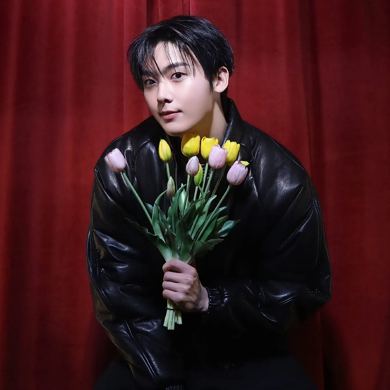 Recent activity shot of Rocky