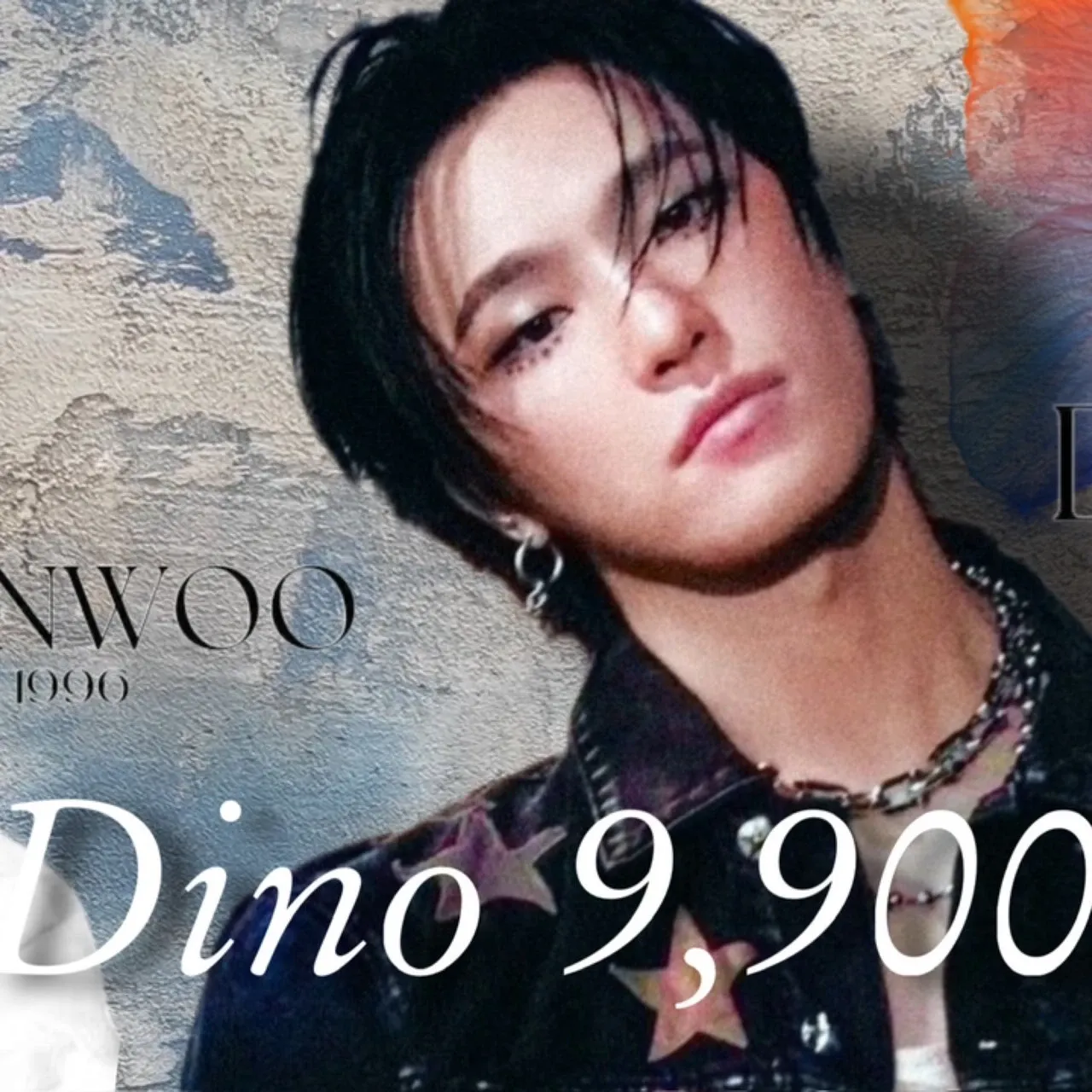 원우 (세븐틴) 팬이 찍은 순간