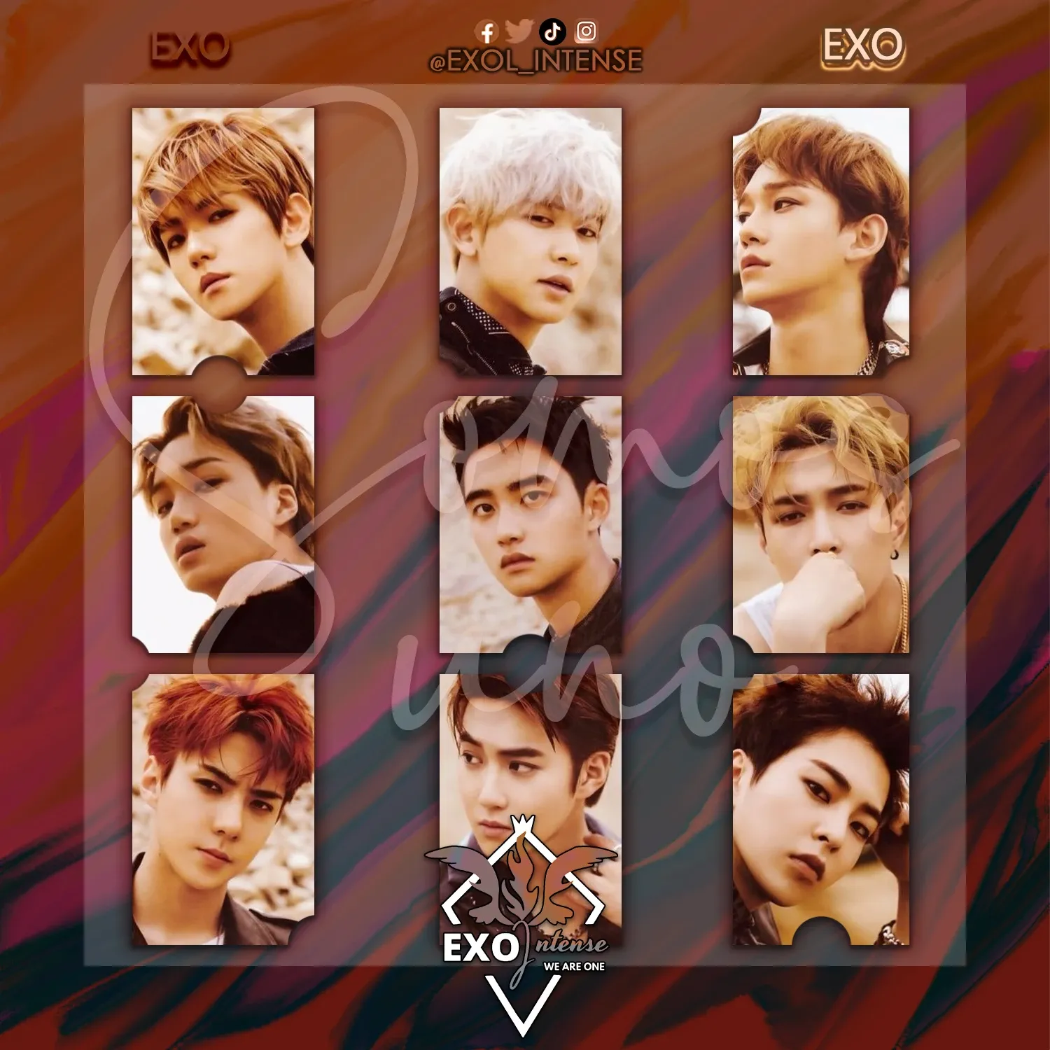 EXO 팬이 찍은 순간