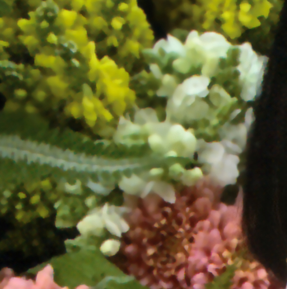 Latest photo of HyunJin (Loossemble)