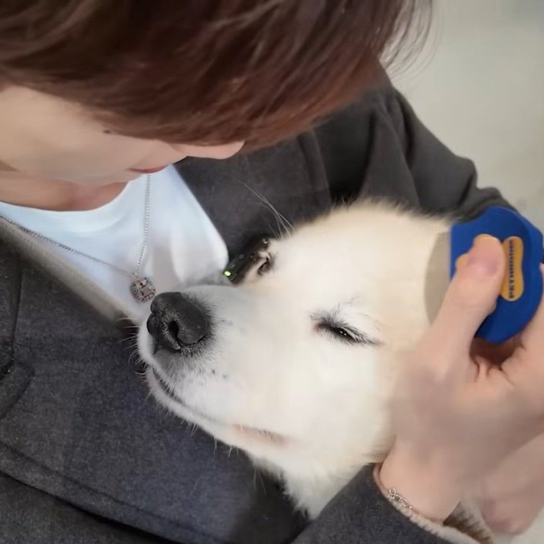 강다니엘 최근 활동샷