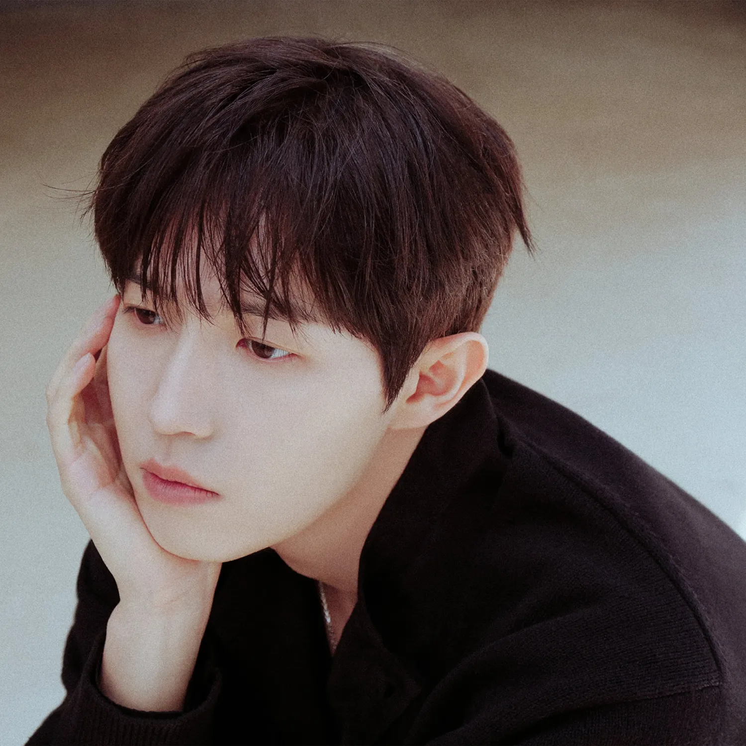 金在奐的最新活動照片