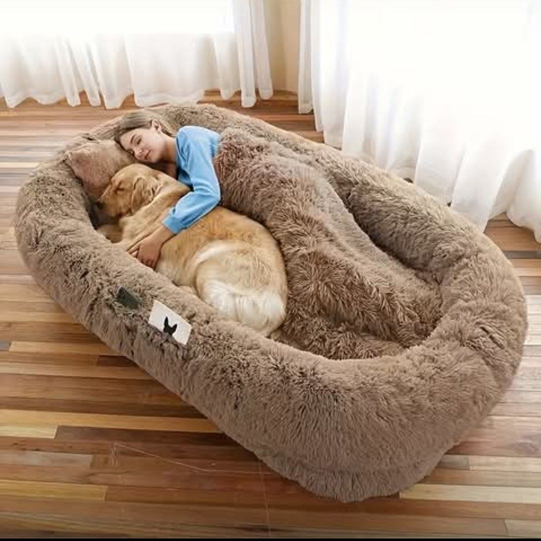 리사 (BLACKPINK) 최근 활동샷