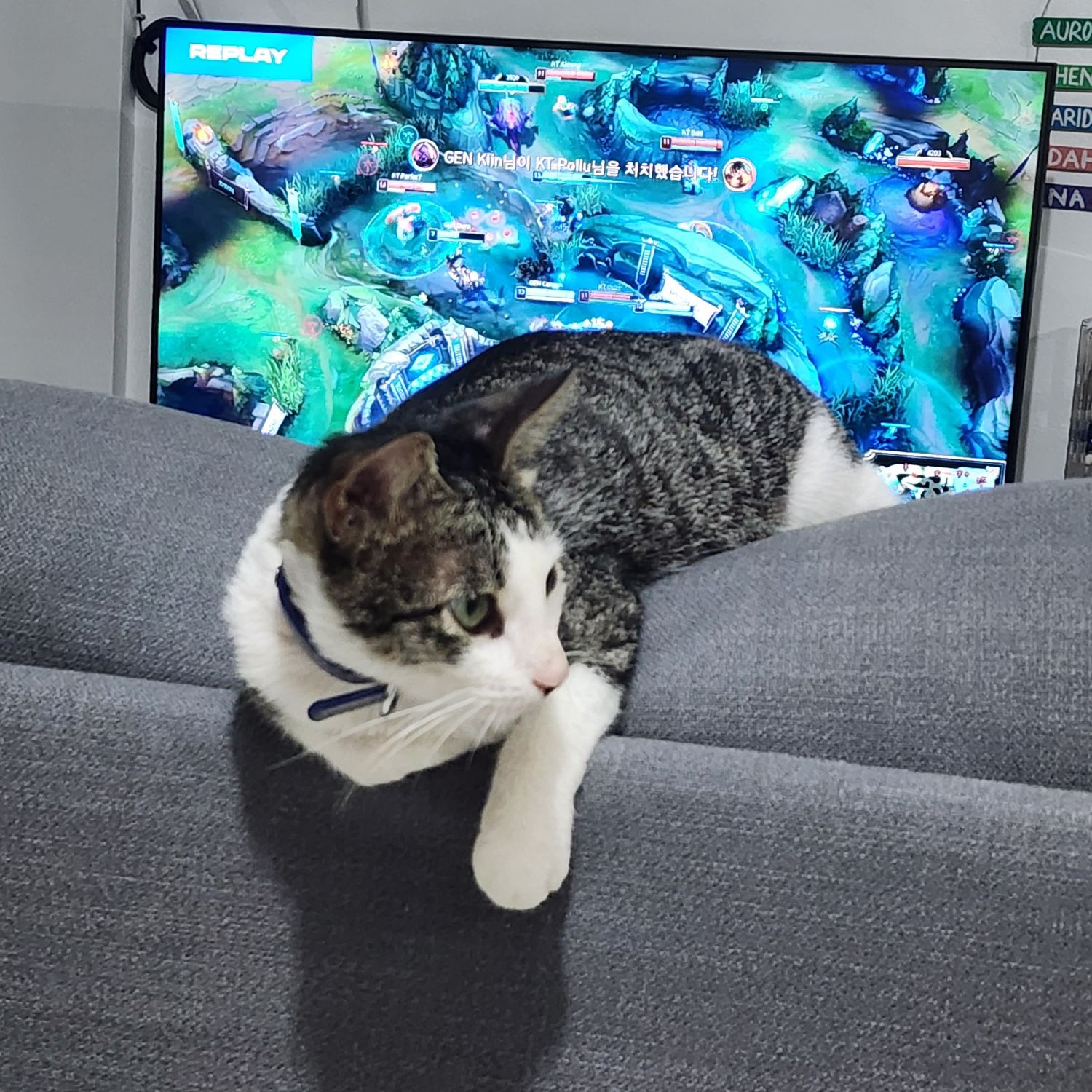 세븐틴의 비하인드 컷