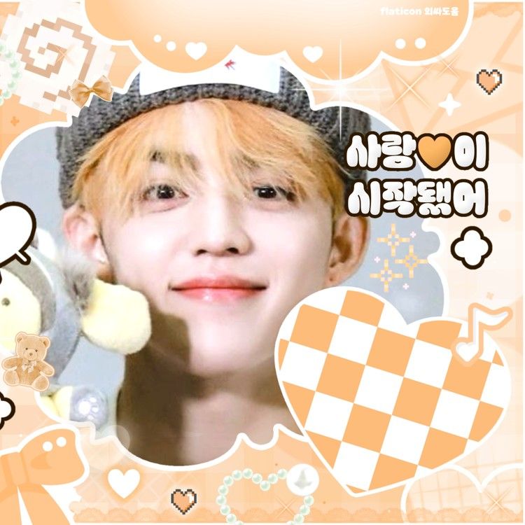 세븐틴 팬이 찍은 순간