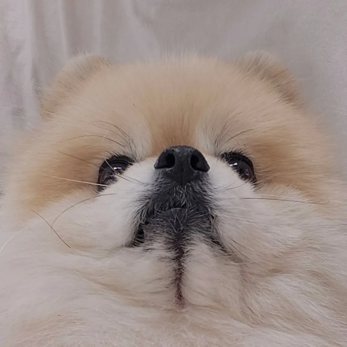 Latest photo of Hanbin (TEMPEST)