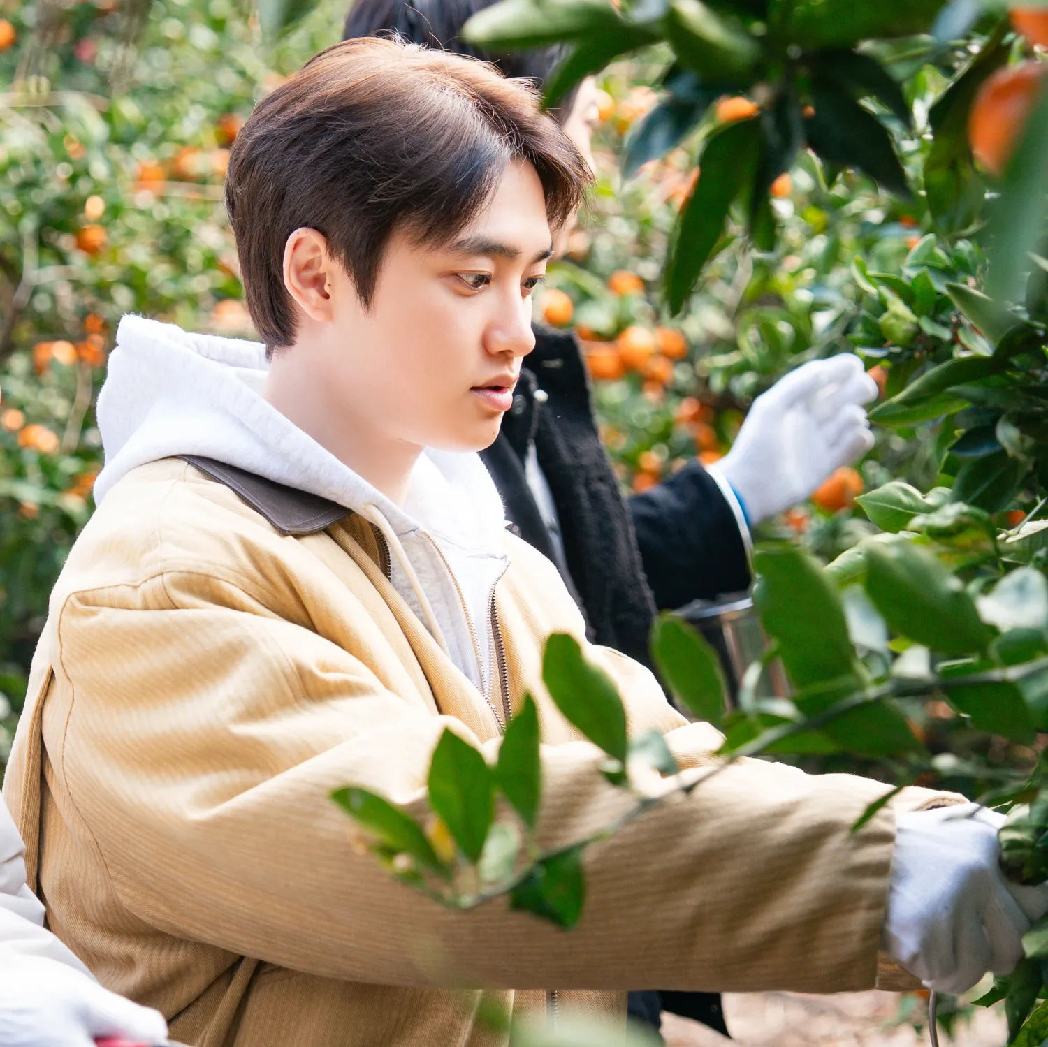 디오 (EXO) 팬이 찍은 순간