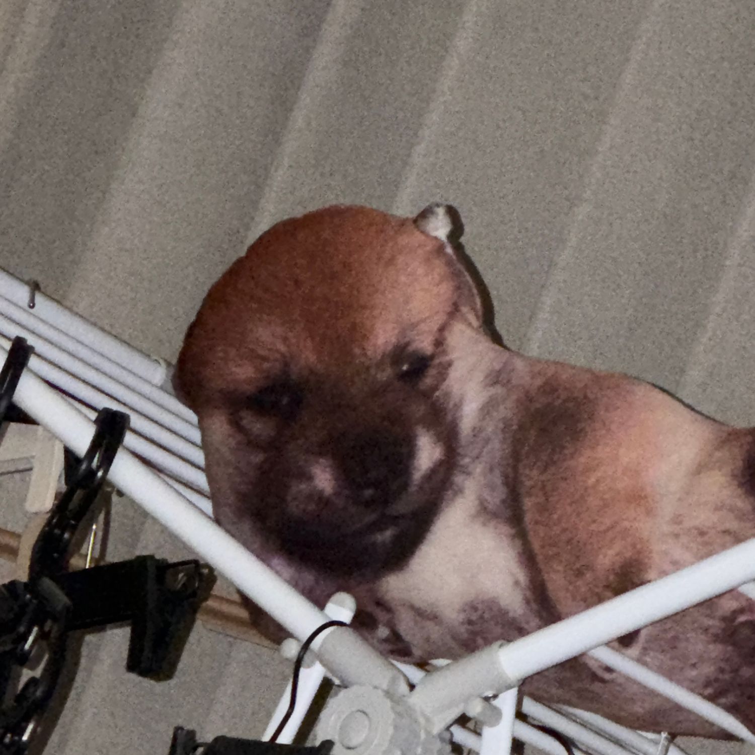 Winter (aespa)的最新照片