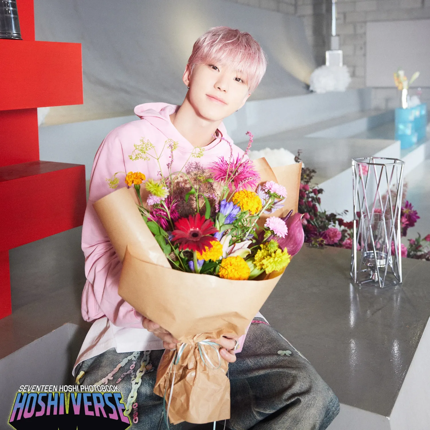 SEVENTEEN粉絲拍下的瞬間