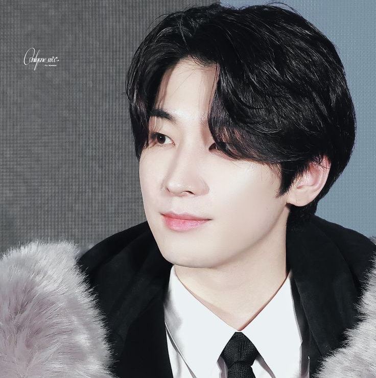 Recent activity shot of Wonwoo (SEVENTEEN)