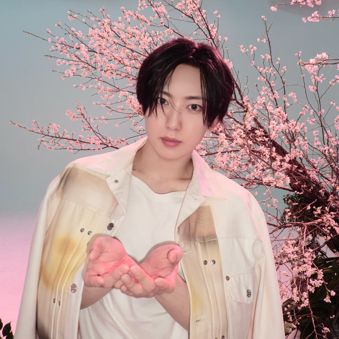 Fuma (&TEAM)的幕后花絮