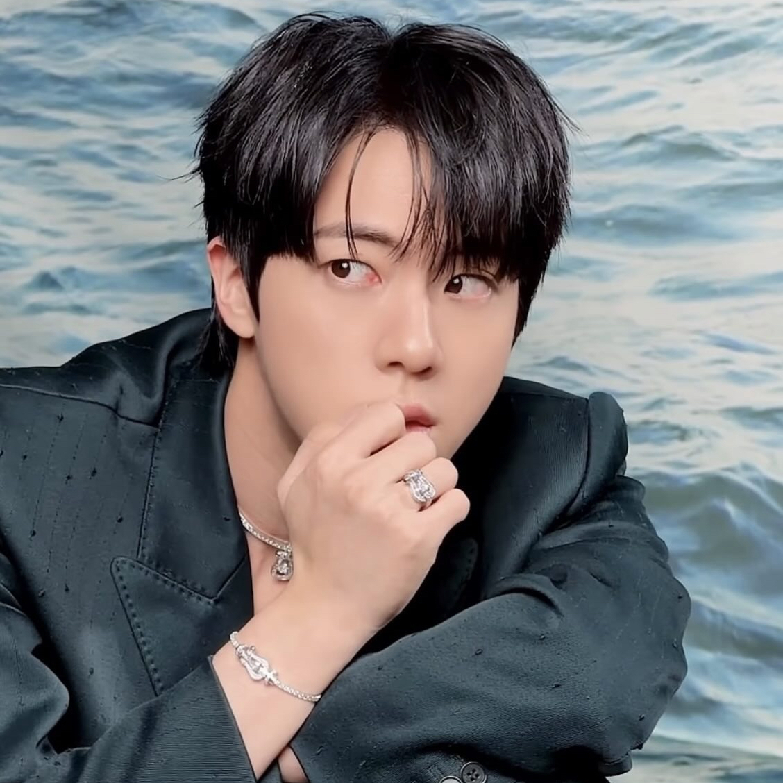 ジン (BTS)ファンが撮った瞬間