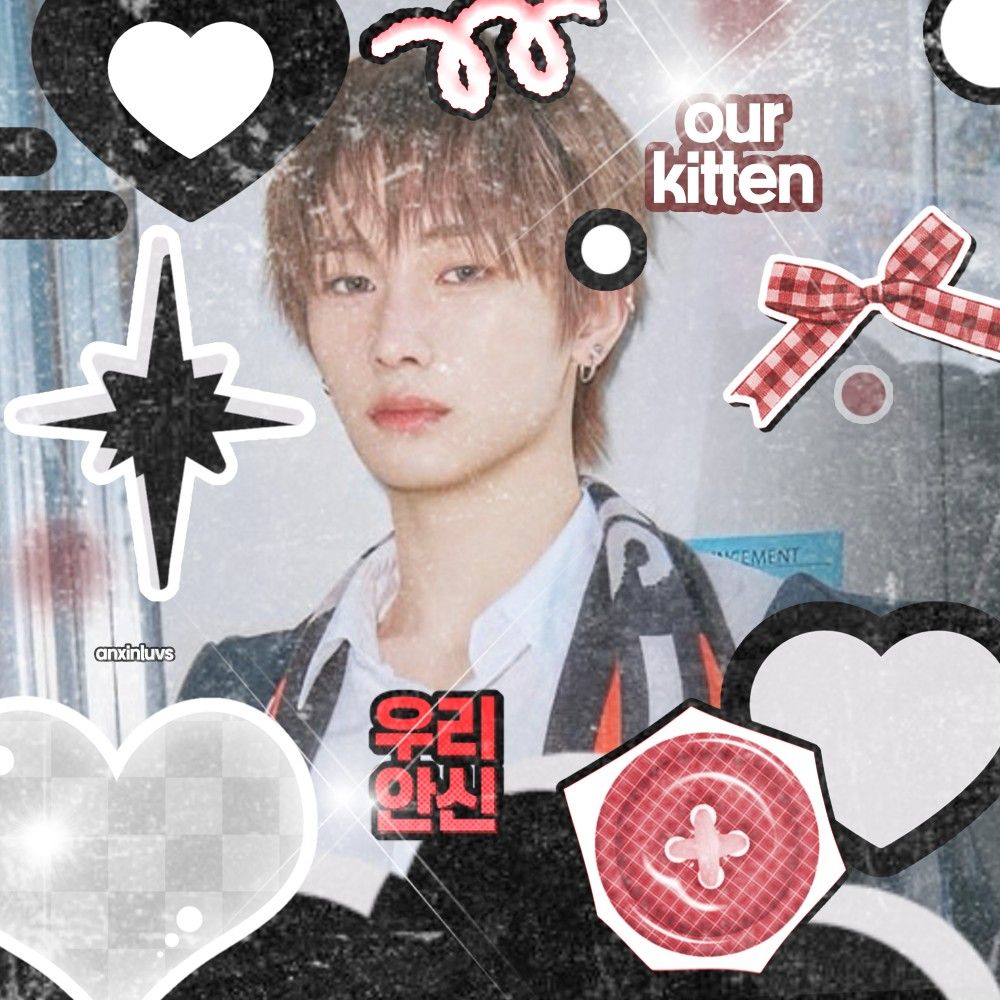 K-POP posts beloved by 조우안신 (알파드라이브원) fans