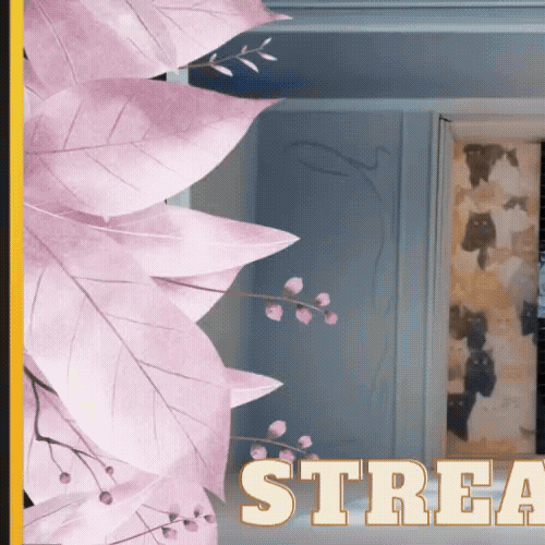 모모 (TWICE) 팬이 찍은 순간