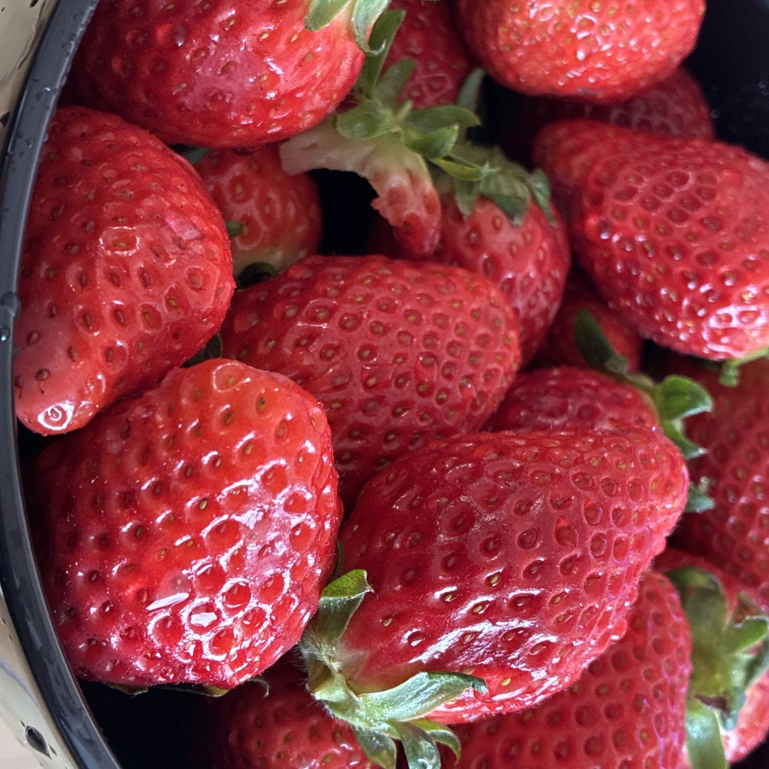 A moment captured by I.N (Stray Kids)'s fan