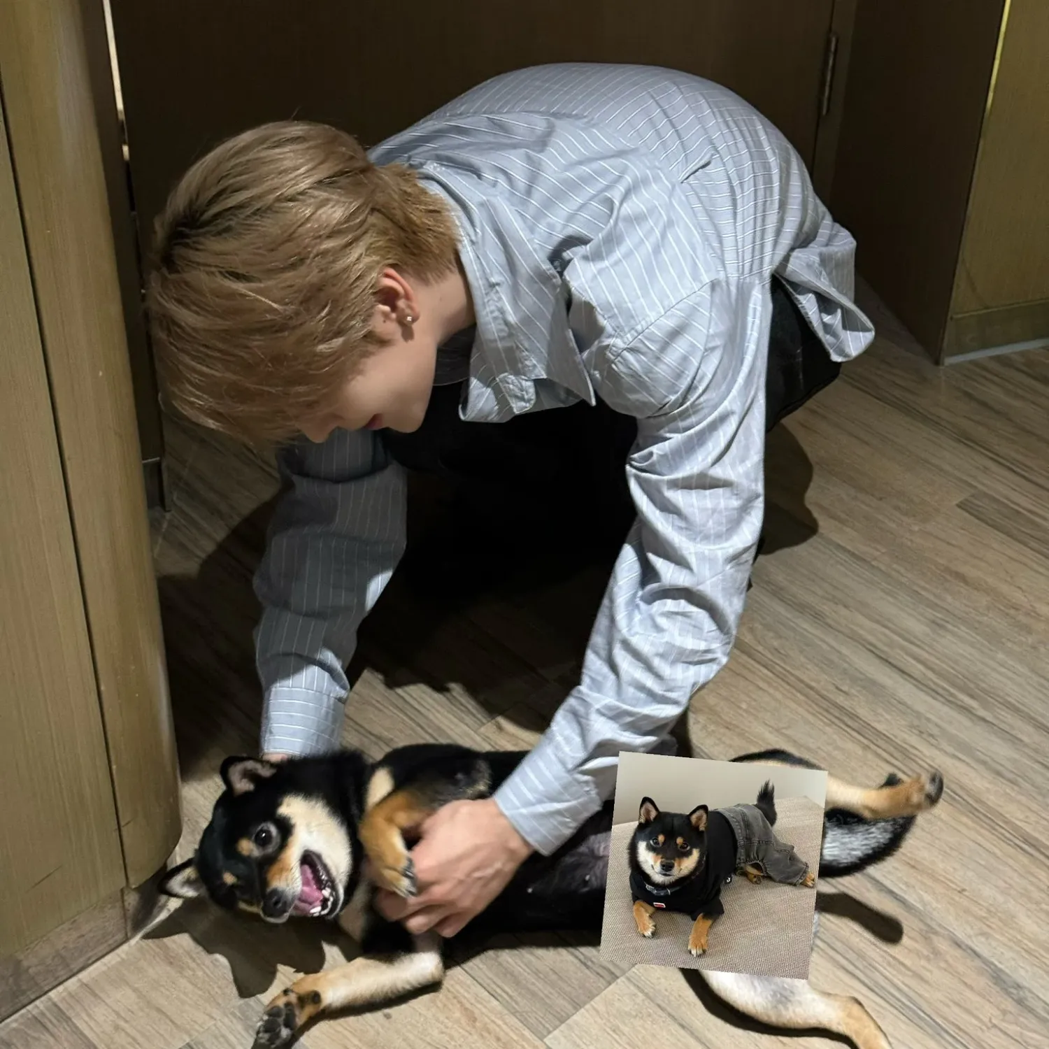 賀鑫隆 (ALPHA DRIVE ONE)的最新照片