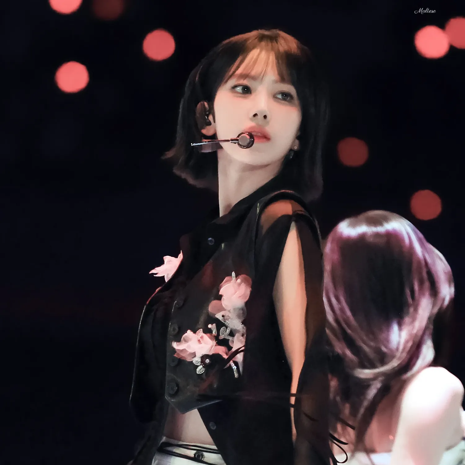 사쿠라 (르세라핌)의 비하인드 컷