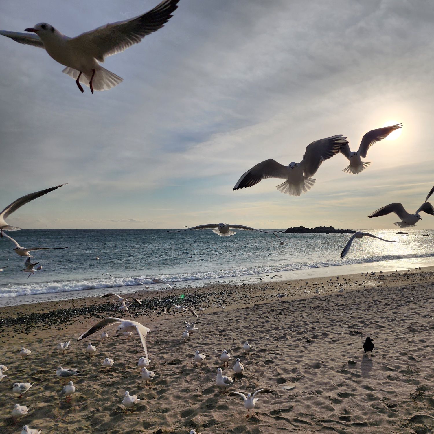 아이유의 최신 사진