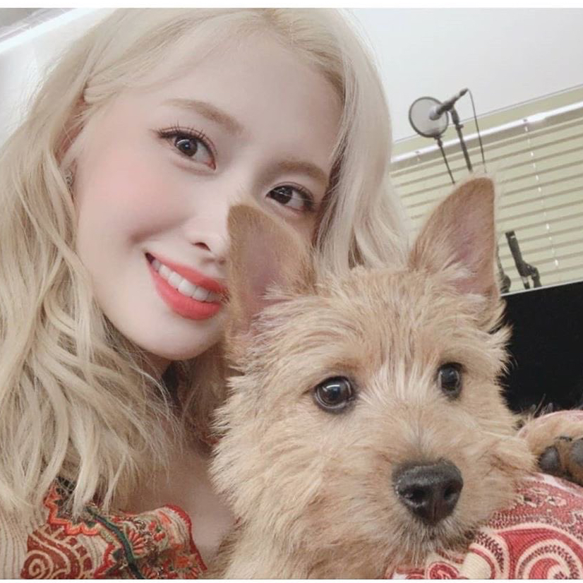 Latest photo of Momo (TWICE)