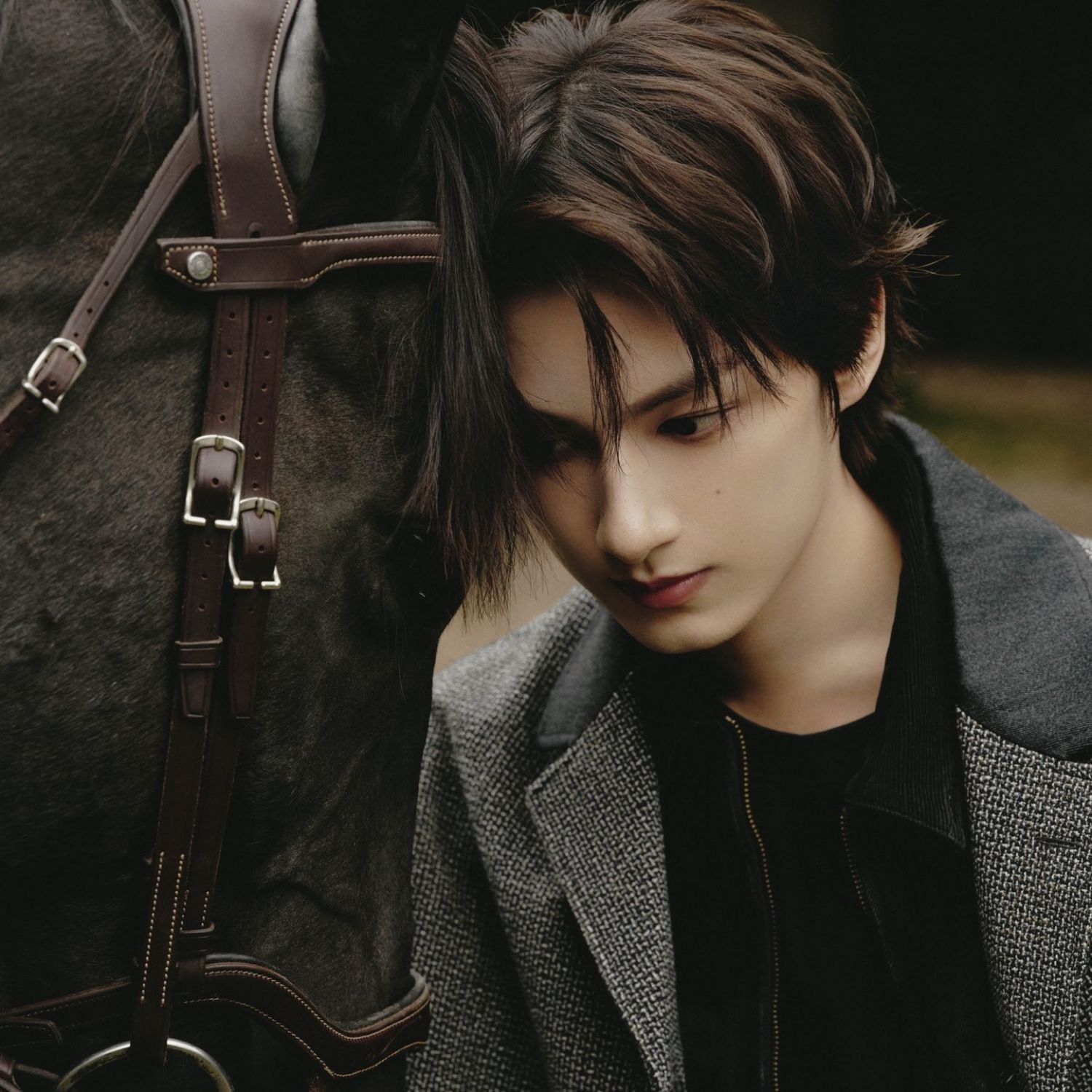 SEVENTEEN粉絲拍下的瞬間