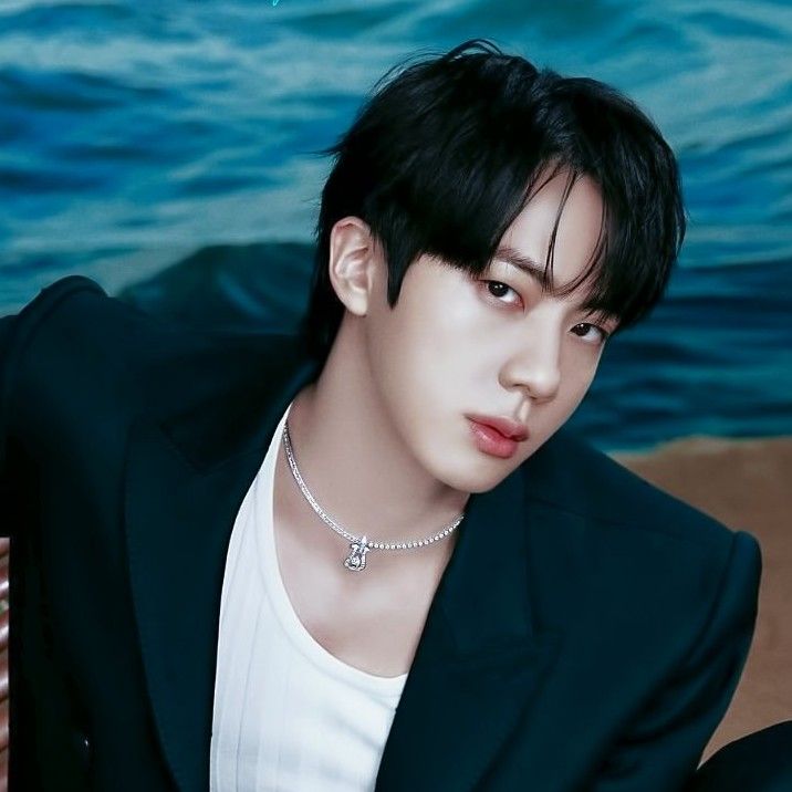 진 (방탄소년단) 팬이 찍은 순간