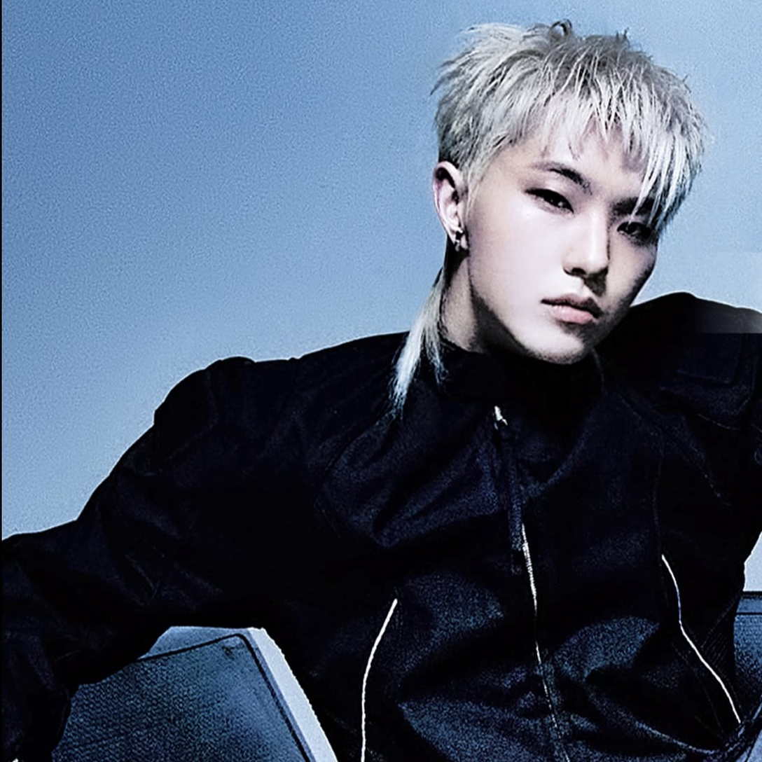 A moment captured by Hoshi (SEVENTEEN)'s fan