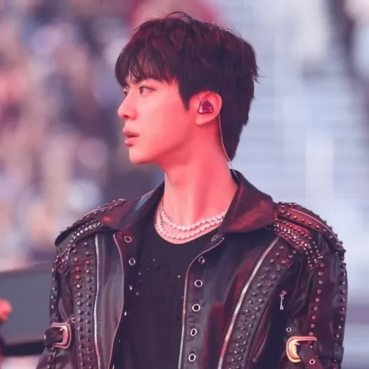 진 (방탄소년단) 팬이 찍은 순간