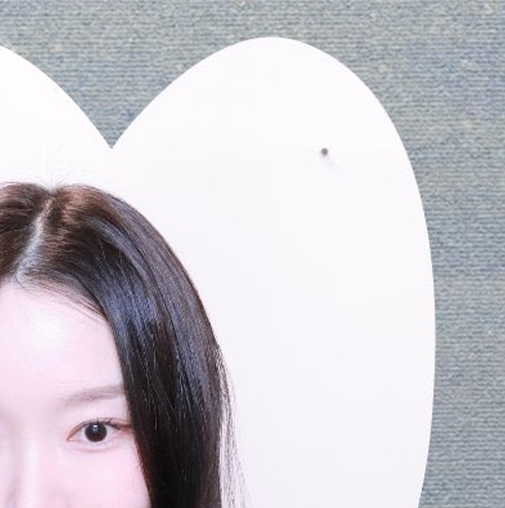 Behind-the-scenes cut of Go Won (Loossemble)