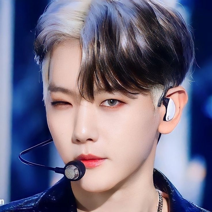 伯賢 (EXO)粉絲拍下的瞬間