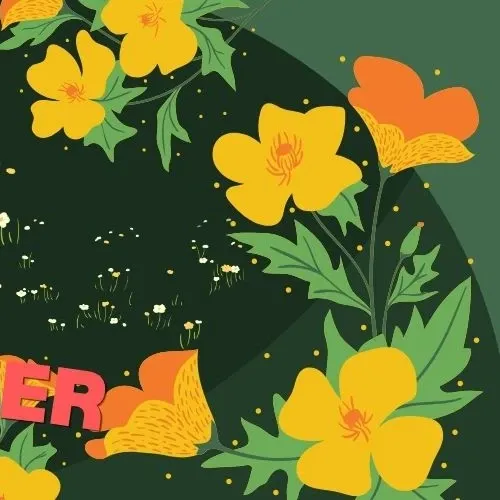Momen yang diabadikan oleh penggemar Siyeon (DREAMCATCHER)