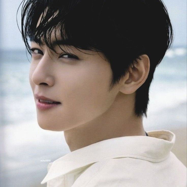 A moment captured by Eunwoo (ASTRO)'s fan