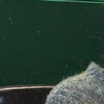 Recent activity shot of Jeong Yein (Lovelyz)