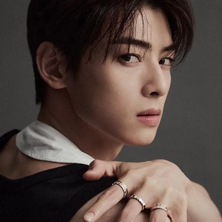 A moment captured by Eunwoo (ASTRO)'s fan
