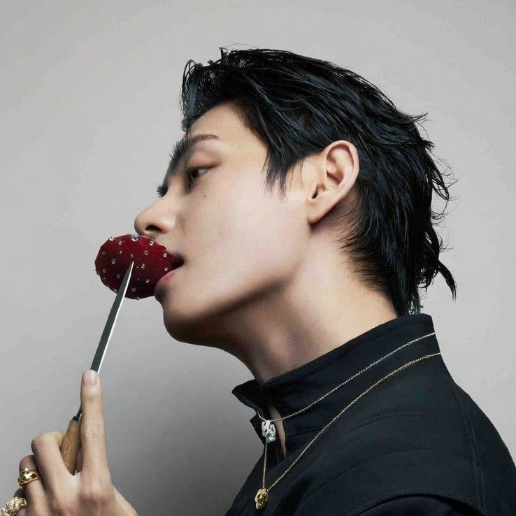 V (BTS)ファンが撮った瞬間