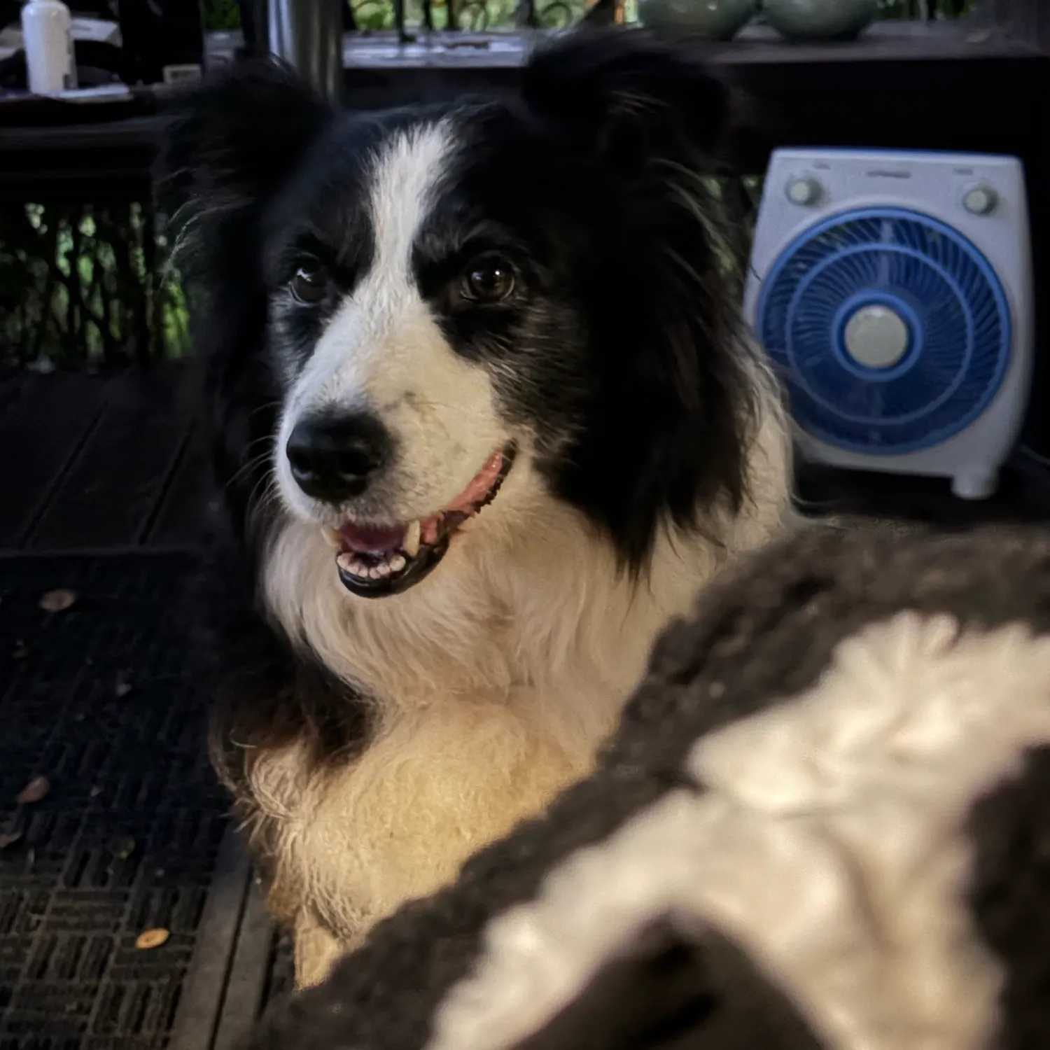 아이엠 (몬스타엑스)의 최신 사진