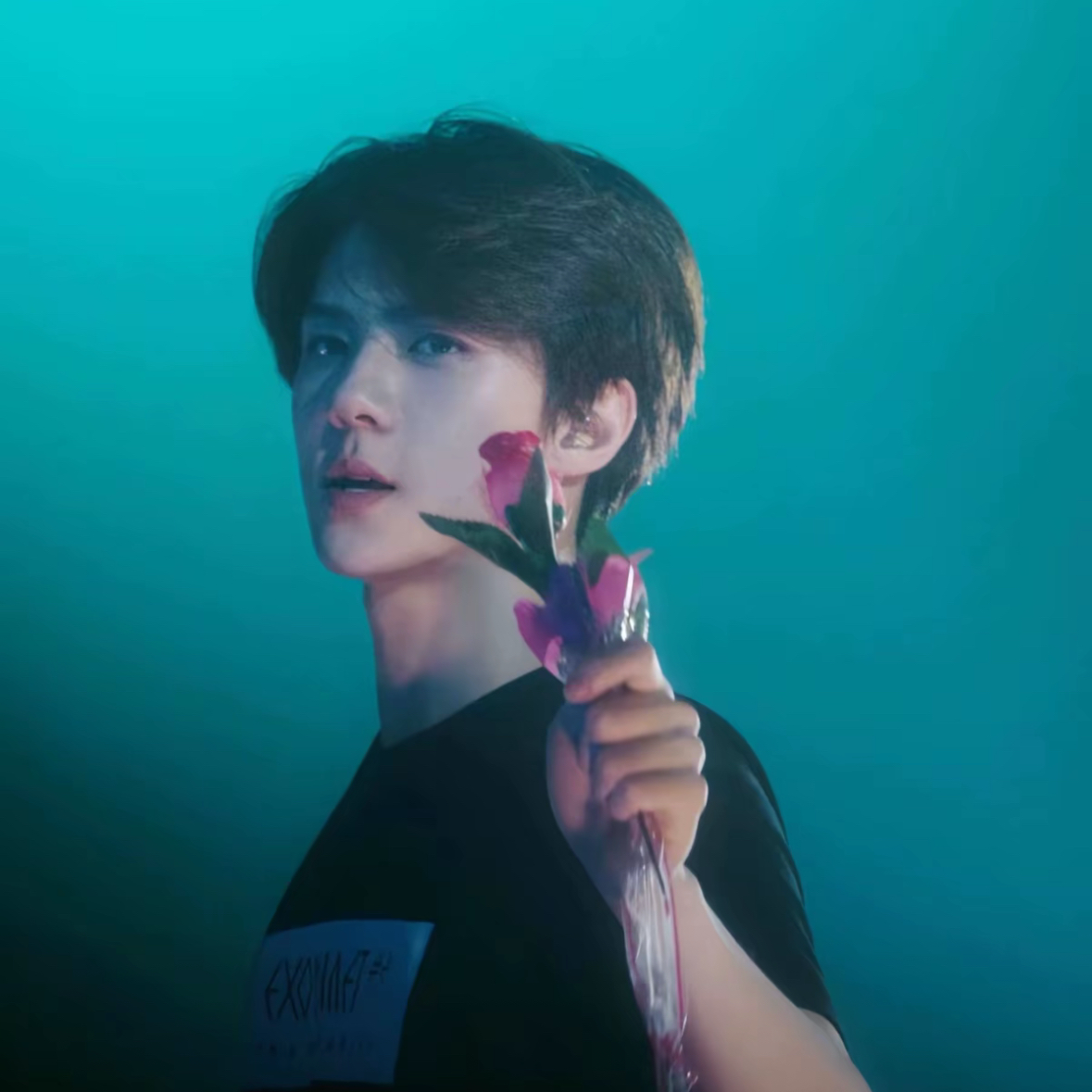 세훈 (EXO) 팬이 찍은 순간