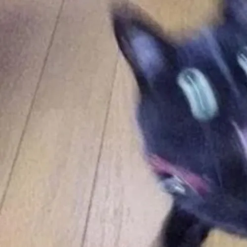 Recent activity shot of Wooyoung (ATEEZ)