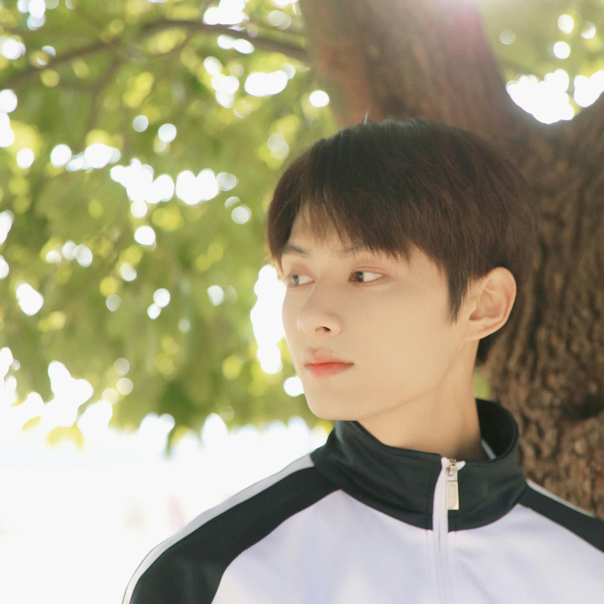 세븐틴의 비하인드 컷