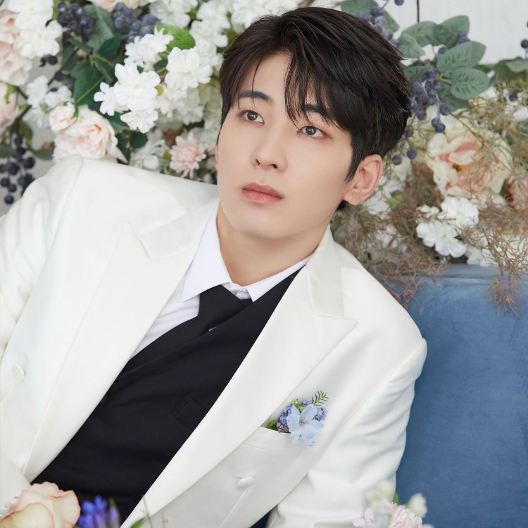 Recent activity shot of Wonwoo (SEVENTEEN)