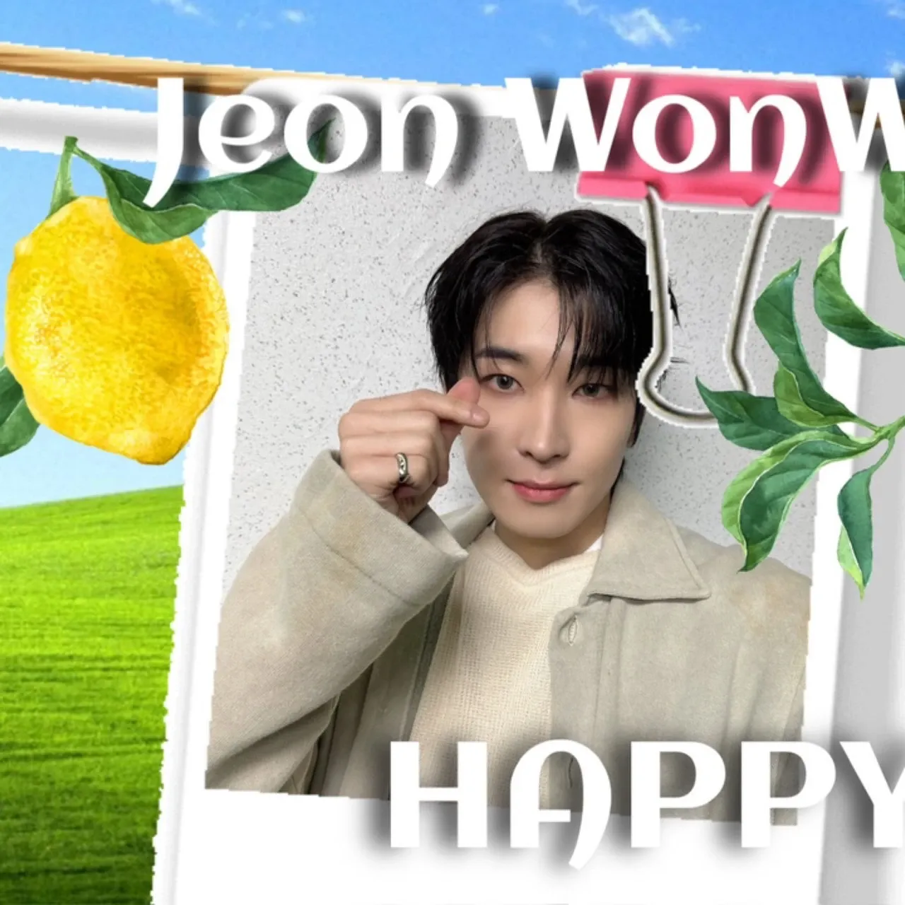 원우 (세븐틴) 팬이 찍은 순간