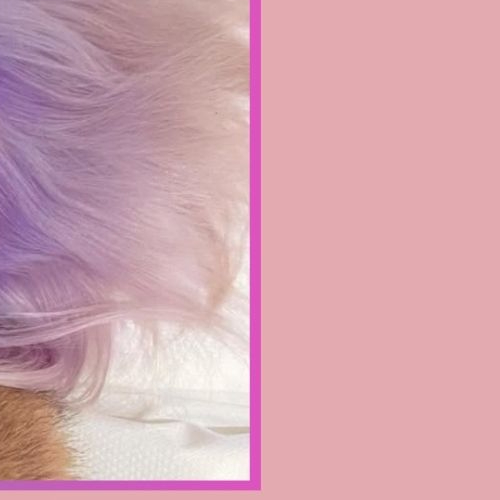 AleXaの最新写真