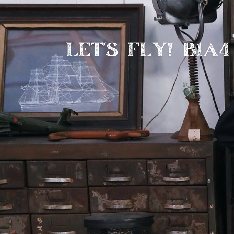 シヌ (B1A4)ファンが撮った瞬間