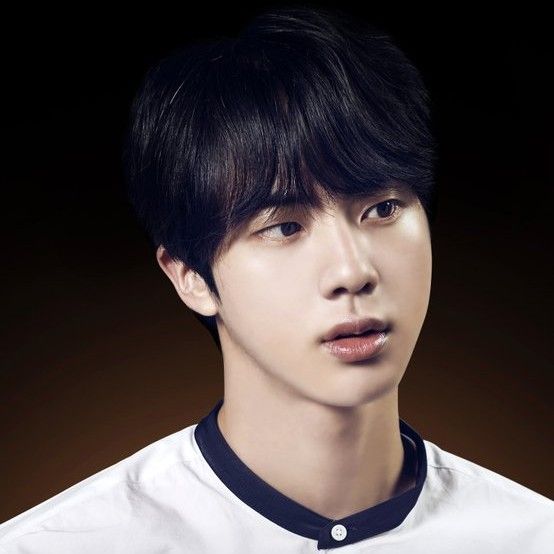 ジン (BTS)ファンが撮った瞬間