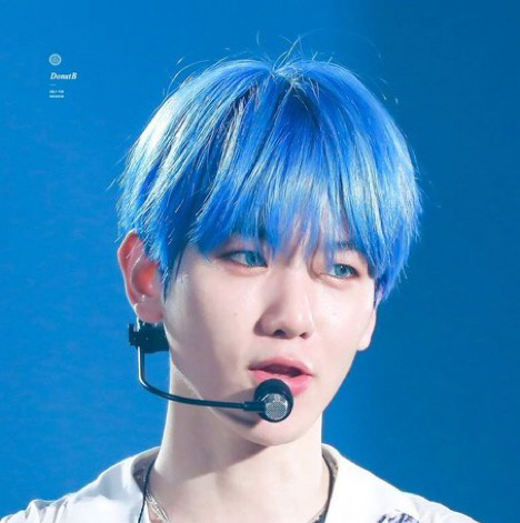 백현 (EXO) 팬이 찍은 순간