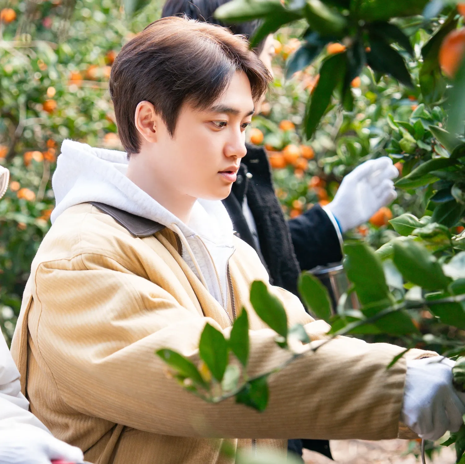 Potret di balik layar D.O. (EXO)