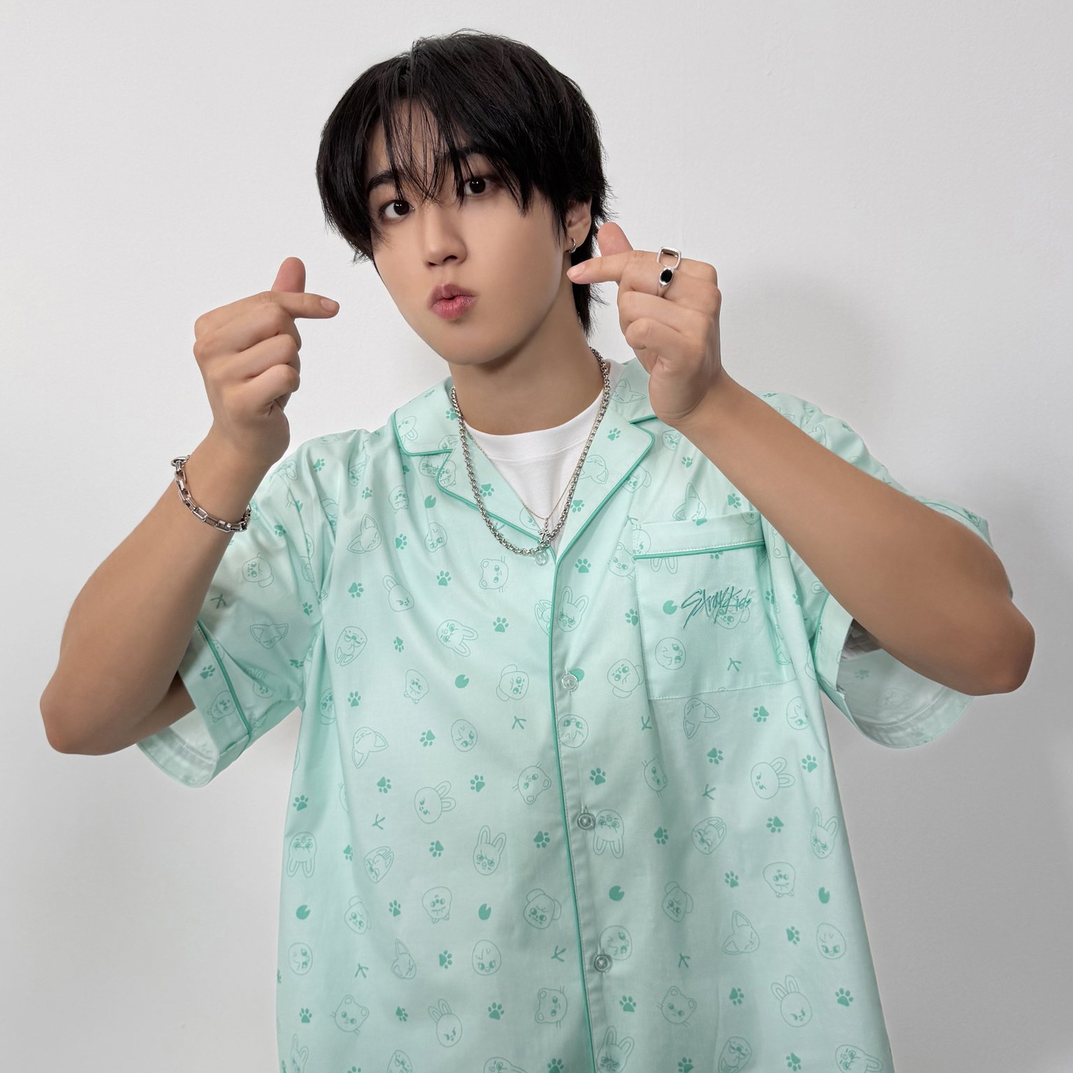 Recent activity shot of HAN (Stray Kids)