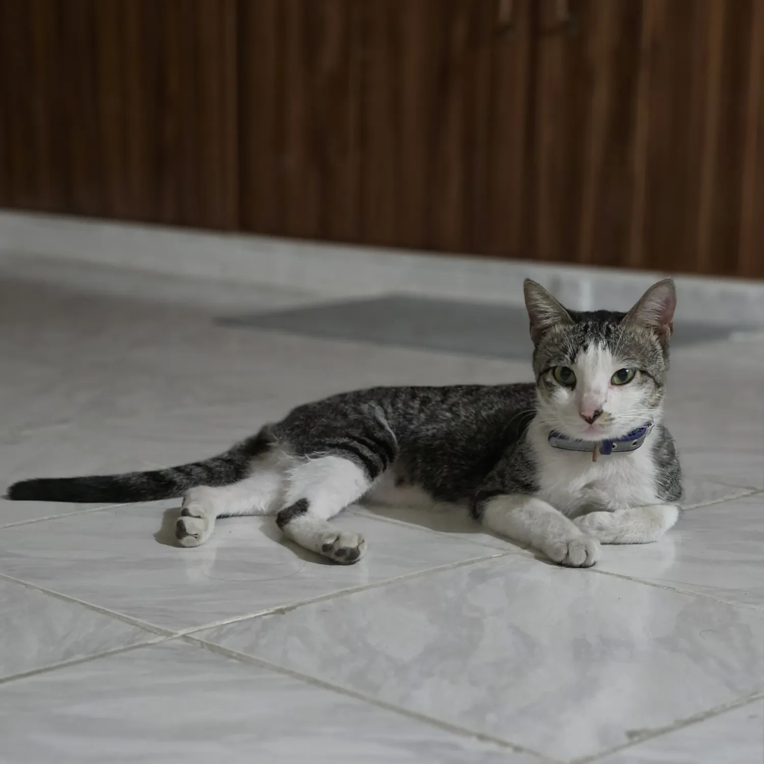 Momen yang diabadikan oleh penggemar SEVENTEEN