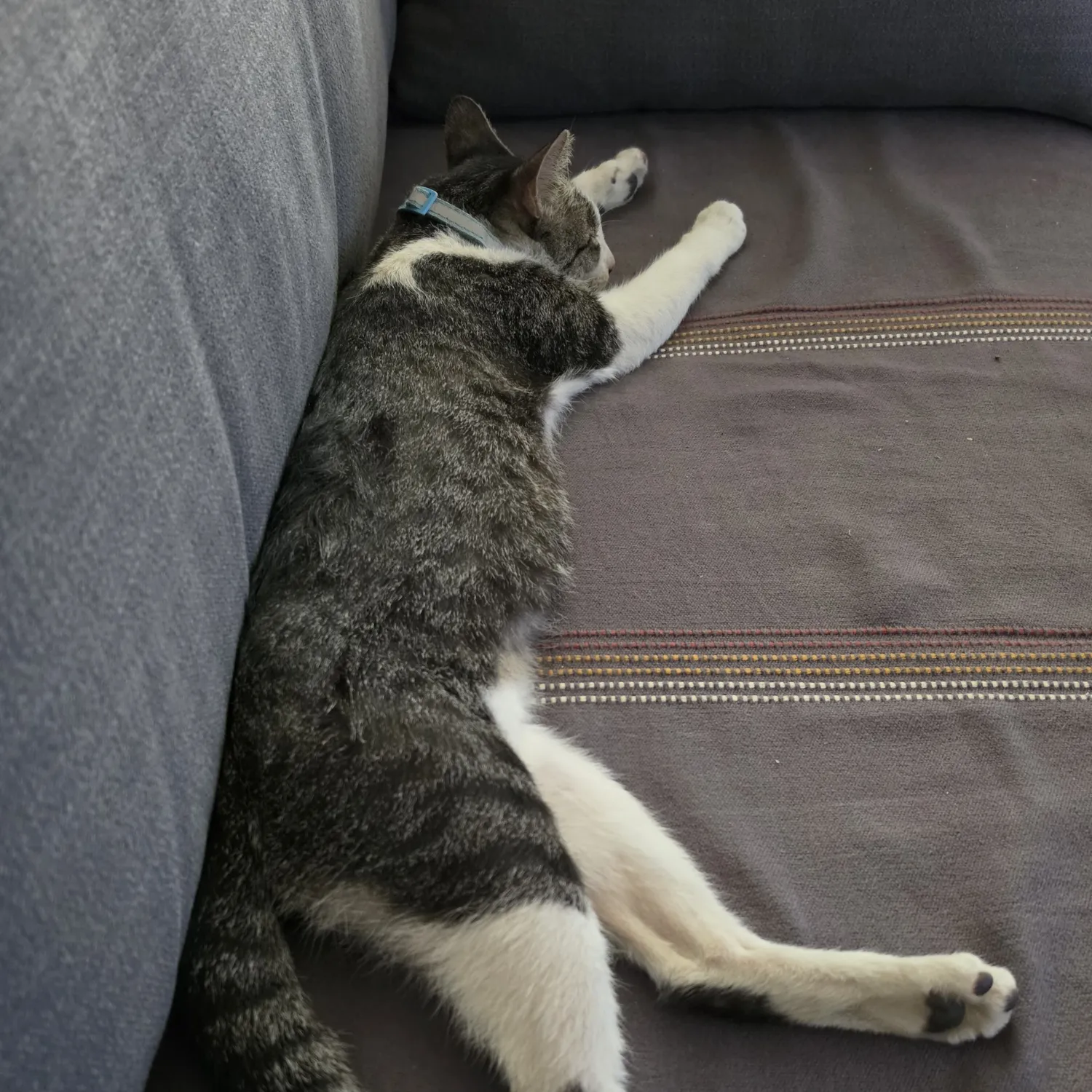 SEVENTEEN的最新活動照片