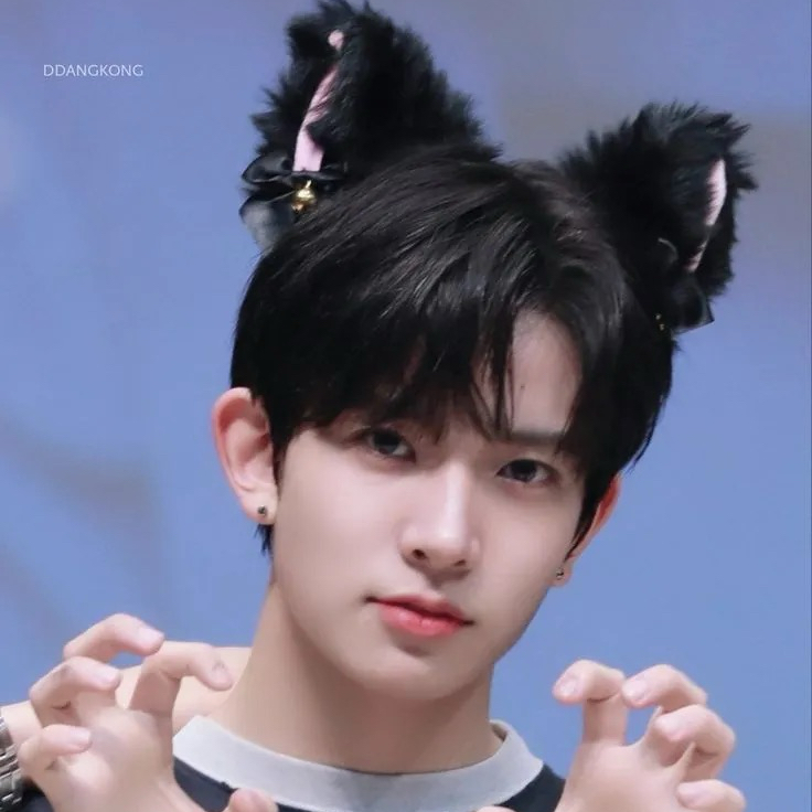 에반 팬이 찍은 순간